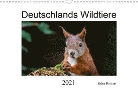 Cover for Reibert · Deutschlands Wildtiere (Wandkal (Book)