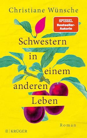 Cover for Christiane Wünsche · Schwestern in einem anderen Leben (Book) (2024)