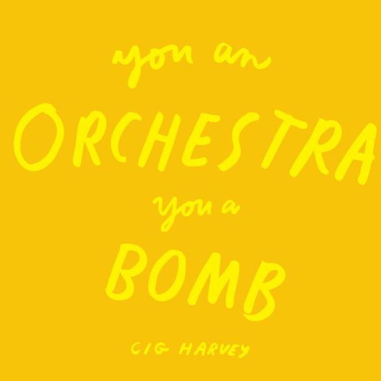 Cover for Cig Harvey · You An Orchestra You A Bomb (Hardcover Book) (2017)