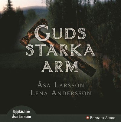 Cover for Åsa Larsson · Guds starka arm (Hörbok (MP3)) (2009)