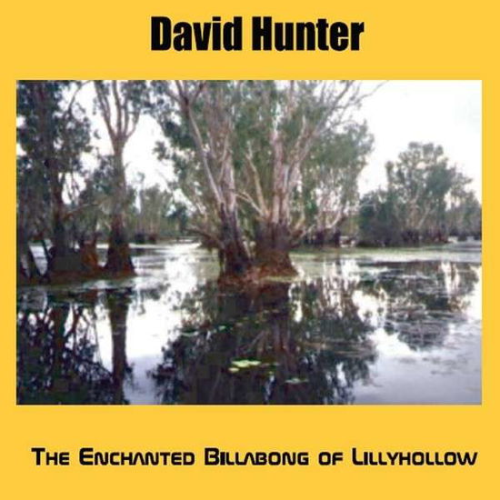 Cover for David Hunter · Enchanted Billabong of Lillyhollow (CD) (2013)