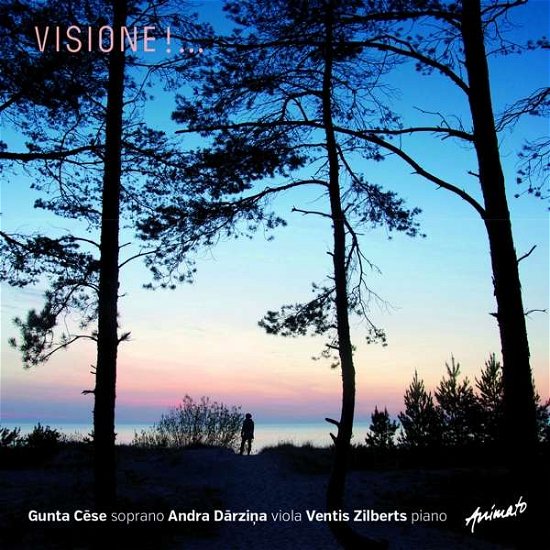 Cover for Cese,gunta / darzina,andra / zilberts,ventis · Visione!... (CD) (2018)