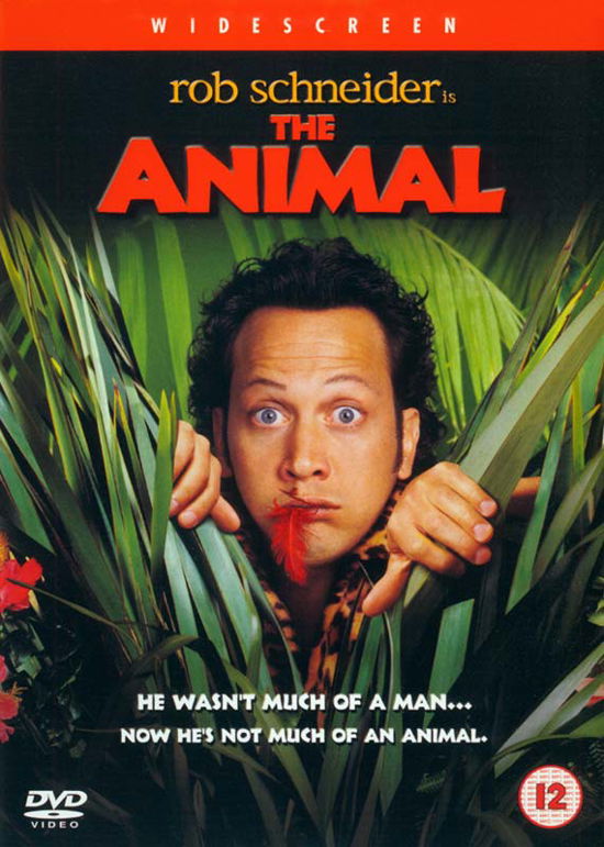 Cover for The Animal (DVD) (2024)