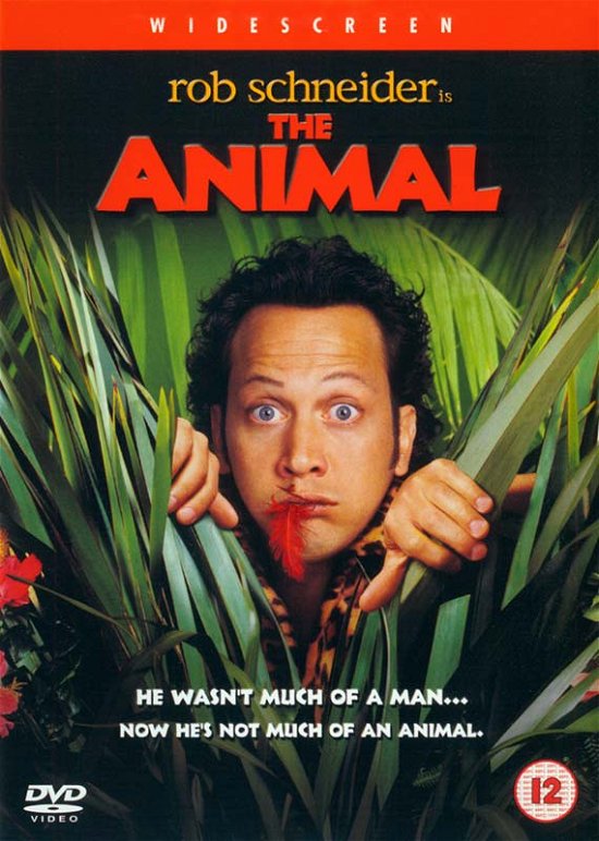 Cover for The Animal (DVD) (2019)
