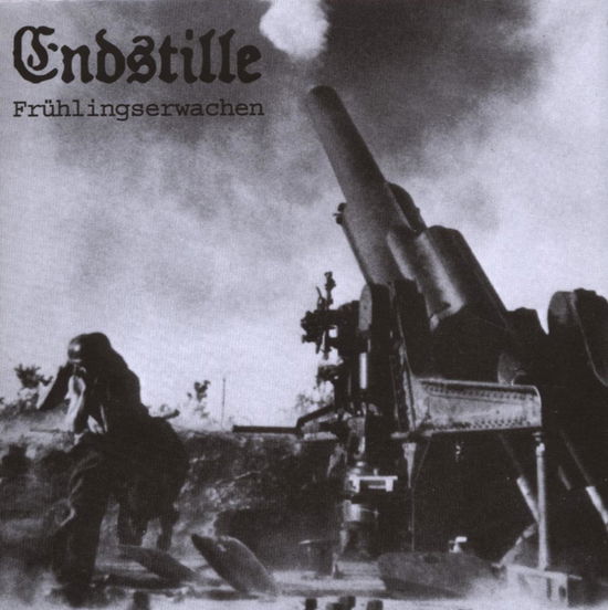 Cover for Endstille · Fruhlingserwachen (CD) [Digipak] (2008)