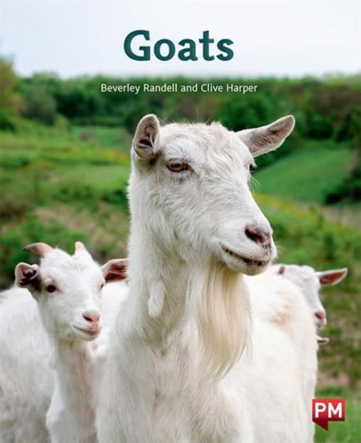 Cover for Beverley Randell · Goats (Paperback Book)