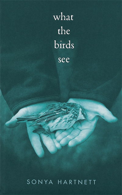 Cover for Sonya Hartnett · What the Birds See (Paperback Book) (2003)