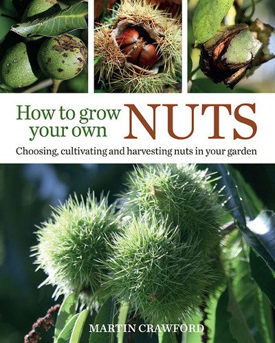 How to Grow Your Own Nuts: Choosing, cultivating and harvesting nuts in your garden - Martin Crawford - Bøger - Bloomsbury Publishing PLC - 9780857843937 - 6. oktober 2016