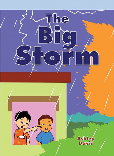 Big Storm (Neighborhood Readers) - Ashley Davis - Kirjat - Rosen Classroom - 9781404271937 - tiistai 1. elokuuta 2006