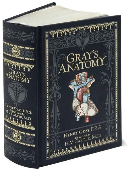 Cover for Henry Gray · Gray's Anatomy (Barnes &amp; Noble Collectible Classics: Omnibus Edition) - Barnes &amp; Noble Leatherbound Classic Collection (Läderbok) (2010)