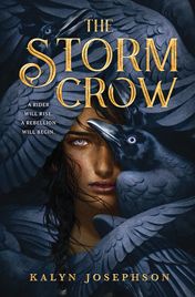 Cover for Kalyn Josephson · The Storm Crow - Storm Crow (Hardcover Book) (2019)