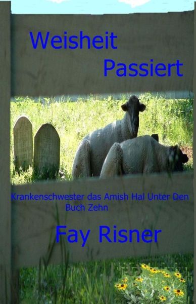 Cover for Fay Risner · Weisheit Passiert (Paperback Book) (2017)