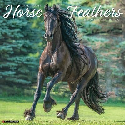 Cover for Willow Creek Press · Horse Feathers 2024 12 X 12 Wall Calendar (Calendar) (2023)
