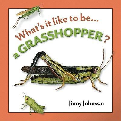 Cover for Jinny Johnson · A grasshopper (Book) (2011)