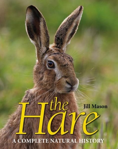 Cover for Jill Mason · The Hare: A complete natural history (Hardcover Book) [2nd Revised edition] (2019)