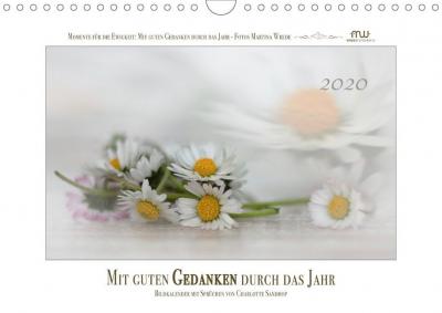 Cover for Wrede · Mit guten Gedanken durch das Jahr (Book)