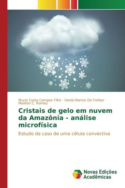 Cover for Costa Campos Filho Mucio · Cristais De Gelo Em Nuvem Da Amazonia - Analise Microfisica (Pocketbok) (2015)