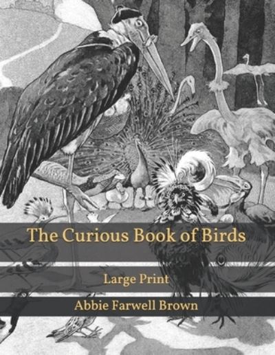 Cover for Abbie Farwell Brown · The Curious Book of Birds (Paperback Book) (2021)