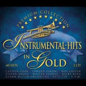 Cover for Instrumental: Hits in Gold / Various (CD) (2005)