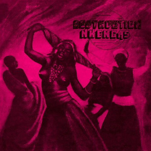 Cover for Nkengas · Destruction (CD) (2013)