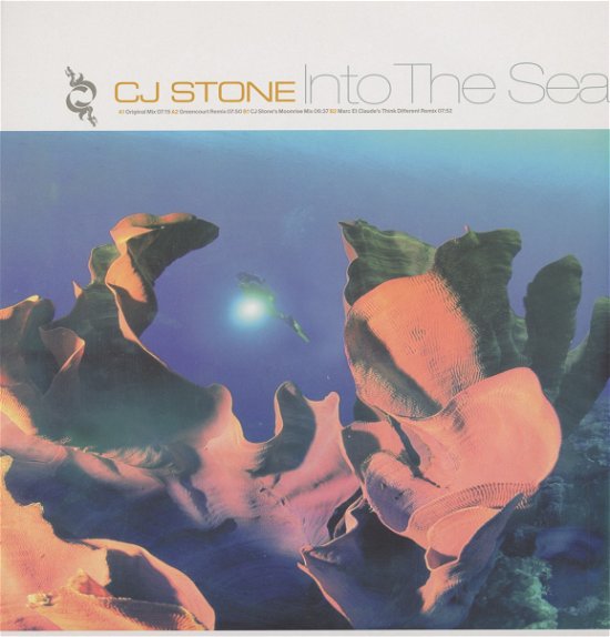 Into the Sea - Cj Stone - Musikk - KONTOR - 4014235317938 - 15. oktober 2001