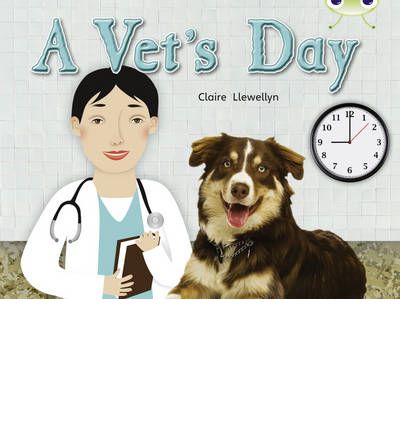 Bug Club Non-fiction Green B/1B A Vet's Day 6-pack - BUG CLUB - Claire Llewellyn - Books - Pearson Education Limited - 9780433013938 - September 8, 2010