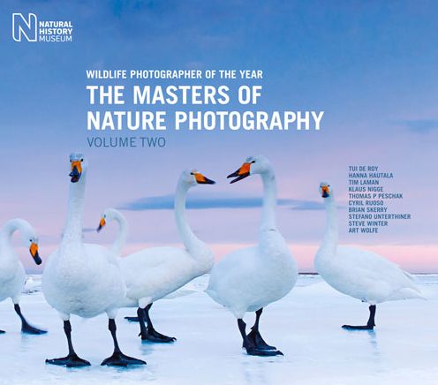 Cover for Rosamund Kidman-Cox · Wildlife Photographer of the Year: The Masters of Nature Photography (Hardcover Book) (2016)