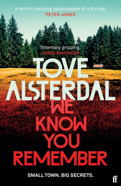 We Know You Remember: The No. 1 International Bestseller - High Coast series - Tove Alsterdal - Libros - Faber & Faber - 9780571368938 - 3 de noviembre de 2022