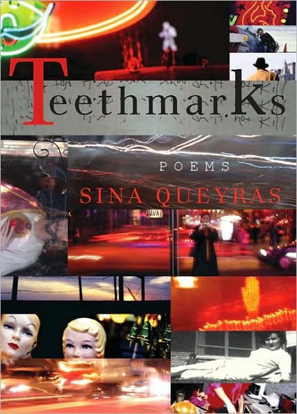 Cover for Sina Queyras · Teethmarks (Paperback Book) (2004)