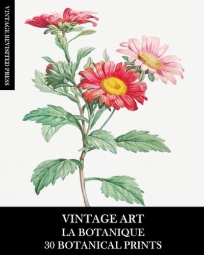 Cover for Vintage Revisited Press · Vintage Art (Paperback Book) (2025)