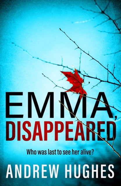 Cover for Andrew Hughes · Emma, Disappeared: A gripping, twist-filled thriller where nothing is as it seems (Paperback Book) (2024)