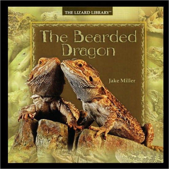 Cover for Jake Miller · Bearded Dragon (Taschenbuch) (2003)