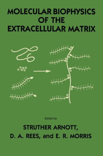 Molecular Biophysics of the Extracellular Matrix - Struther Arnott - Books - Humana Press Inc. - 9781461295938 - October 5, 2011