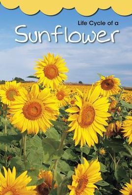 Cover for Angela Royston · Life Cycle of a Sunflower (Paperback Book) (2015)