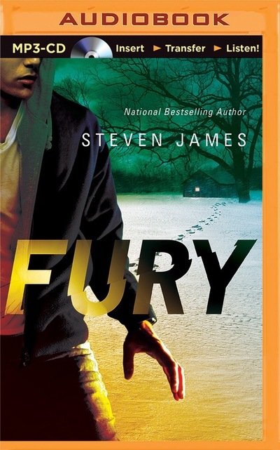 Cover for Steven James · Fury (MP3-CD) (2015)