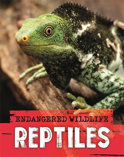 Cover for Anita Ganeri · Endangered Wildlife: Rescuing Reptiles (Hardcover Book) (2020)