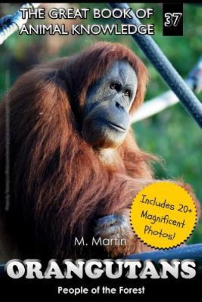 Cover for M Martin · Orangutans (Paperback Book) (2017)