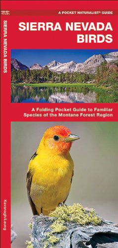 Cover for James Kavanagh · Sierra Nevada Birds: a Folding Pocket Guide to Familiar Species of the Montane Forest Region (Pocket Naturalist Guide Series) (Pamphlet) [Fol Lam Ch edition] (2018)