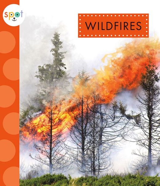 Cover for Anastasia Suen · Wildfires (Book) (2020)