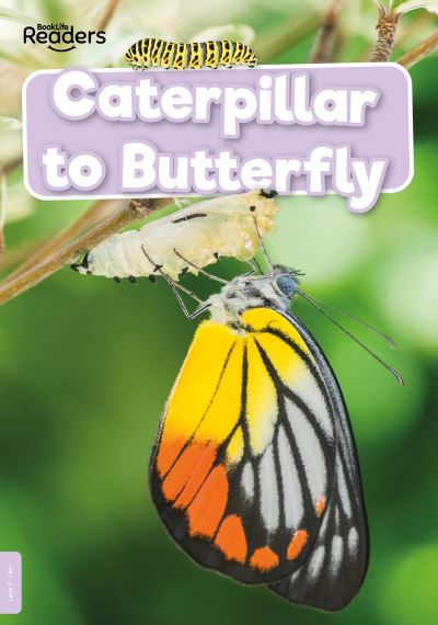 Cover for William Anthony · Caterpillar to Butterfly - BookLife Non-Fiction Readers (Pocketbok) (2021)