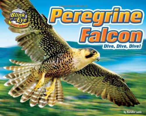 Cover for Natalie Lunis · Peregrine Falcon: Dive, Dive, Dive! (Blink of an Eye: Superfast Animals) (Gebundenes Buch) (2010)