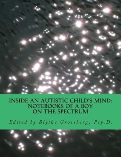 Cover for Blythe Grossberg Psy D · Inside an Autistic Child's Mind (Paperback Book) (2017)