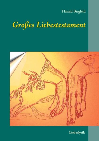 Cover for Birgfeld · Großes Liebestestament (Book) (2017)