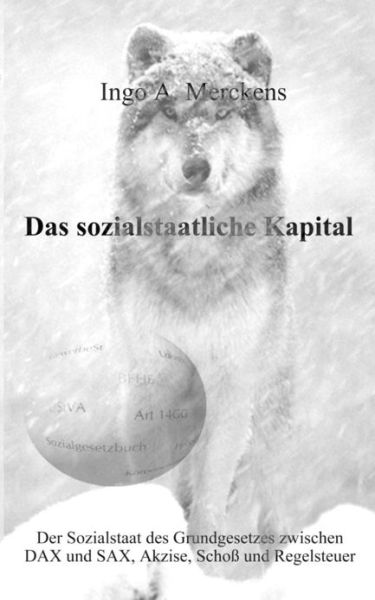 Cover for Ingo A Merckens · Das sozialstaatliche Kapital (Paperback Book) [German edition] (2000)