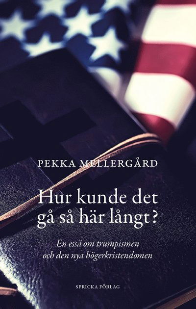 Cover for Pekka Mellergård · Hur kunde det gå så här långt? : en essä om trumpismen och den nya högerkristendomen (Paperback Book) (2022)