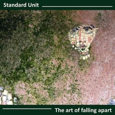 Cover for Standard Unit · Art Of Falling Apart (CD) (2013)