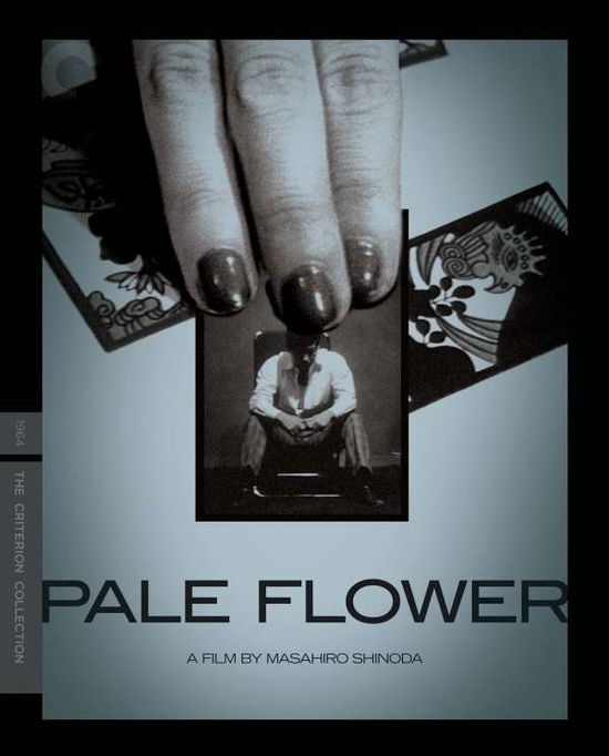 Masahiro Shinoda · Pale Flower Criterion Collection (Blu-ray) (2022)