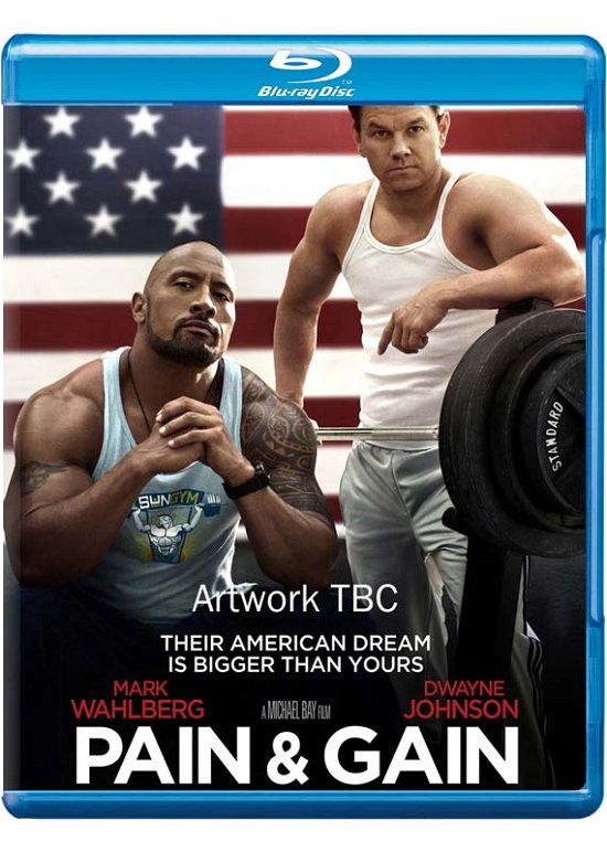 Cover for Pain &amp; Gain · Pain and Gain (Blu-ray) (2013)