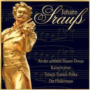 Cover for J. Strauss · An Der Schoenen Blauen Do (CD) (2010)