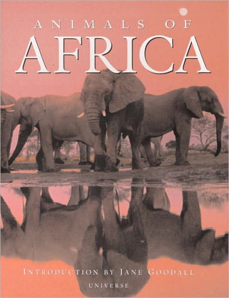 Animals of Africa - Thomas B. Allen - Książki - Universe Publishing - 9780789399939 - 26 lutego 2008